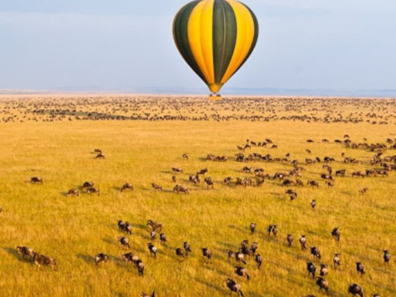 Balloon safaris in Serengeti National Park to witness the great migration