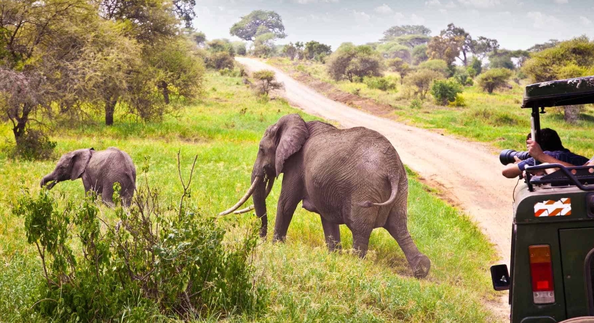 Tanzania As A Tourism Destination