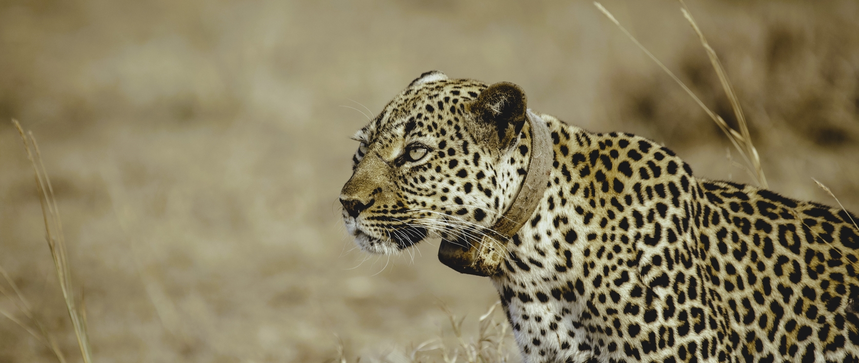 3 days adventure to Queen Elizabeth National Park