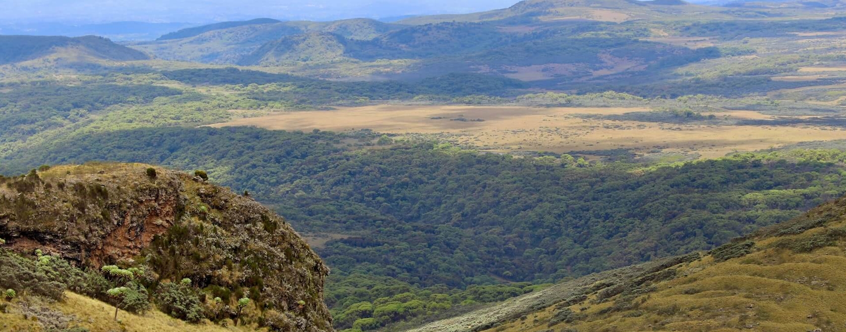 8 days city visit and hiking experience in Kenya