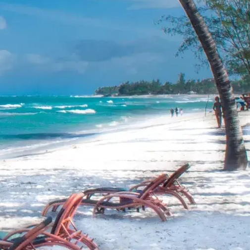 Dive into Paradise Discover Kenya’s Coastline