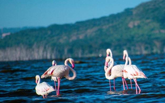 Lake Nakuru National Park