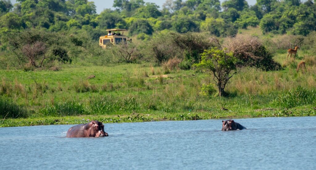 Murchison Falls National Park the Worlds Most Powerful Waterfall