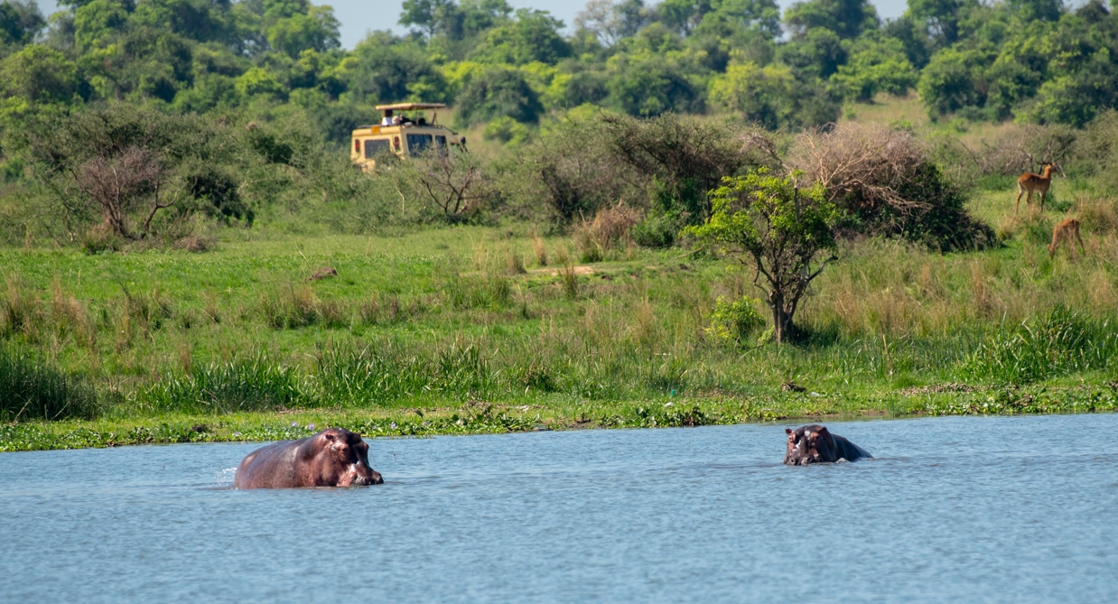 Murchison Falls National Park the Worlds Most Powerful Waterfall