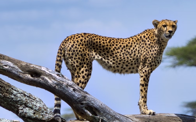 Serengeti National Park