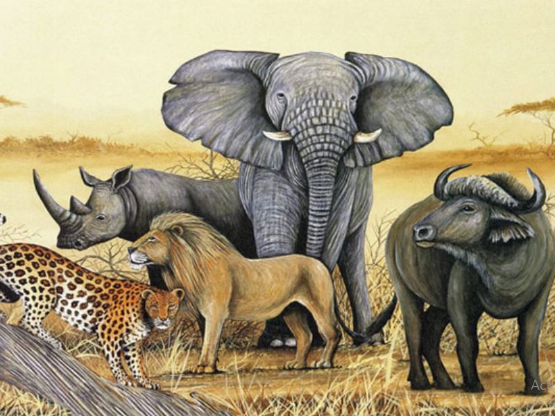 The big five animals in Uganda