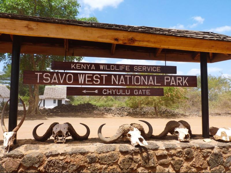 Tsavo national park, located in southeastern Kenya