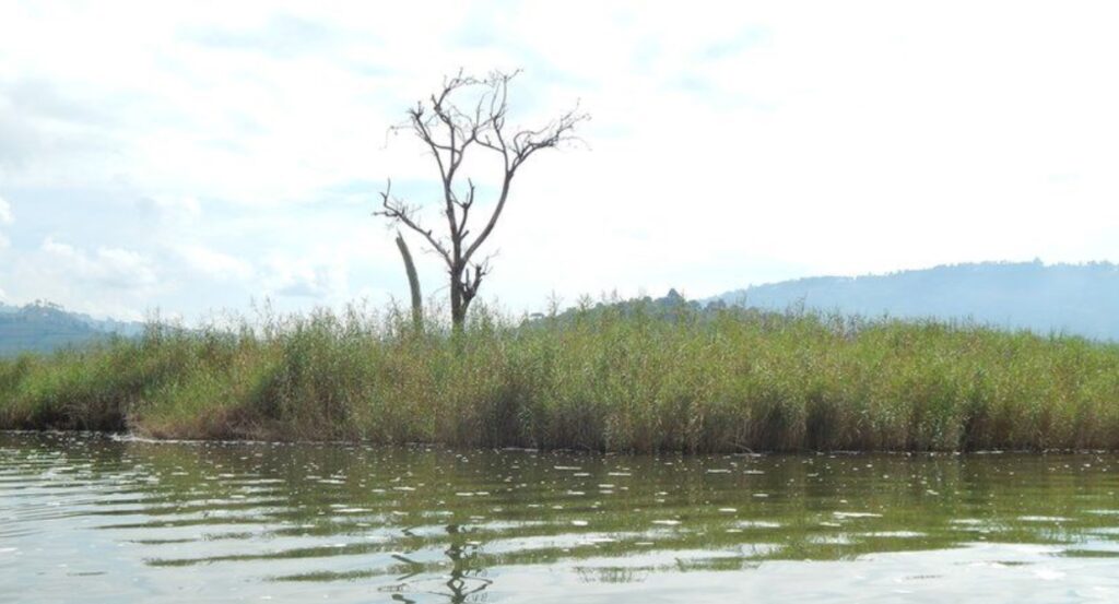 Uncovering The Truth Behind Punishment Island’s Grim Past