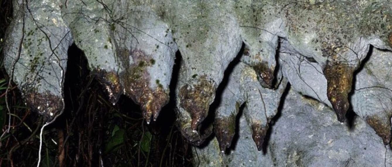 Amabere ga nyina mwiru