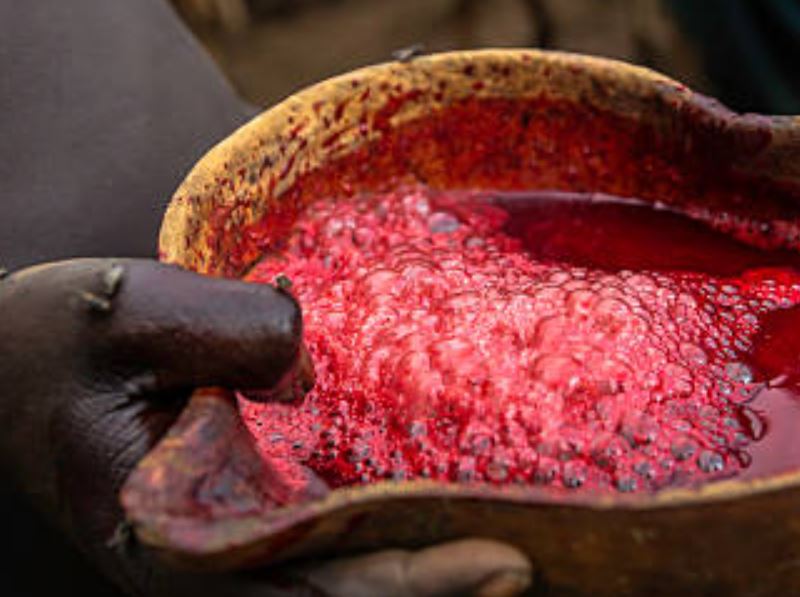 The blood used as food for the Karamoja
