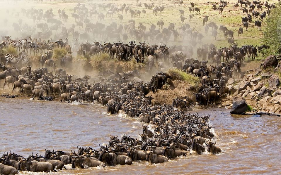 12 days Kenya, Tanzania + Zanzibar Beach safari
